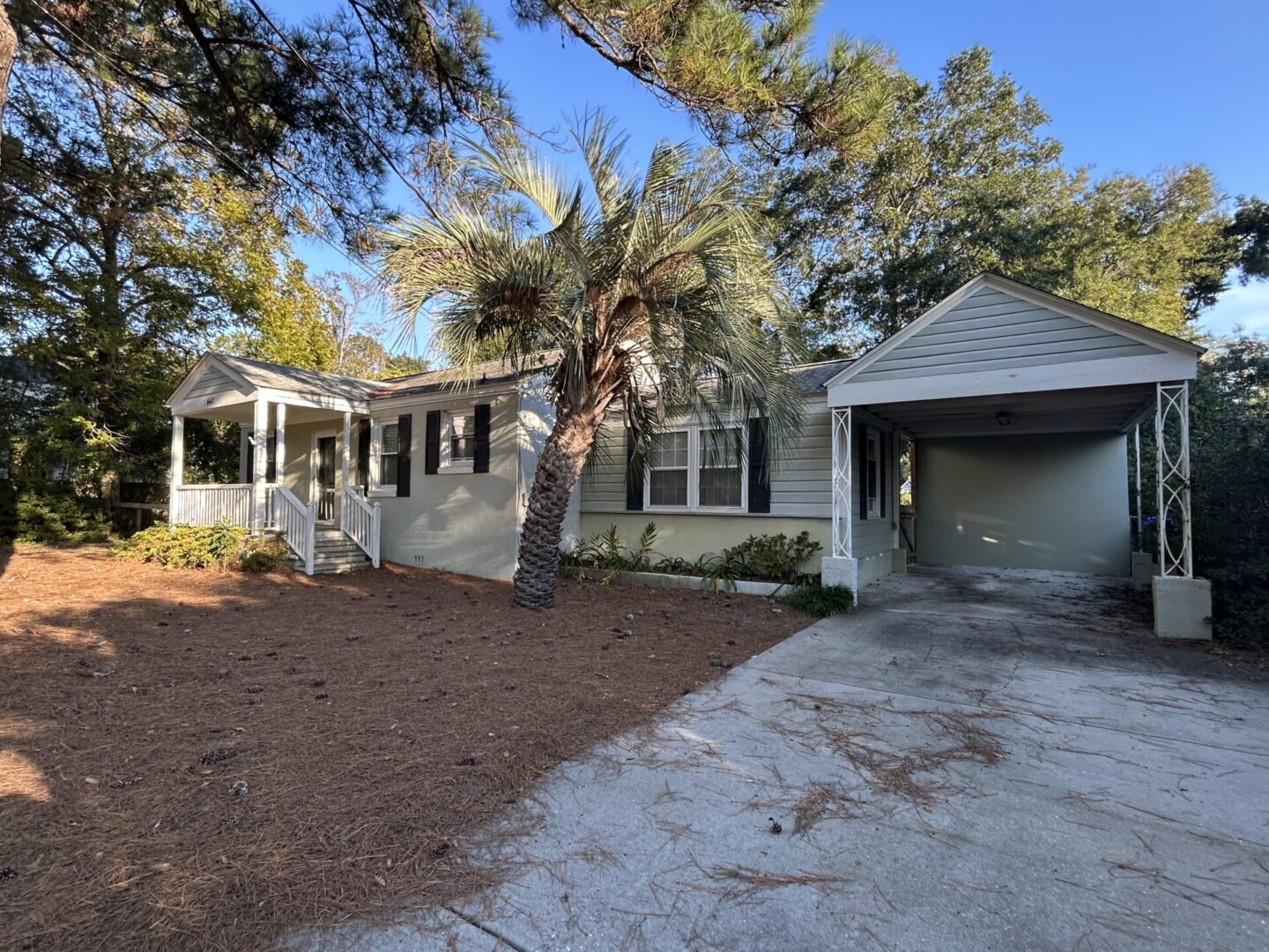 Photo Nov 06 2025, 3 56 01 PM